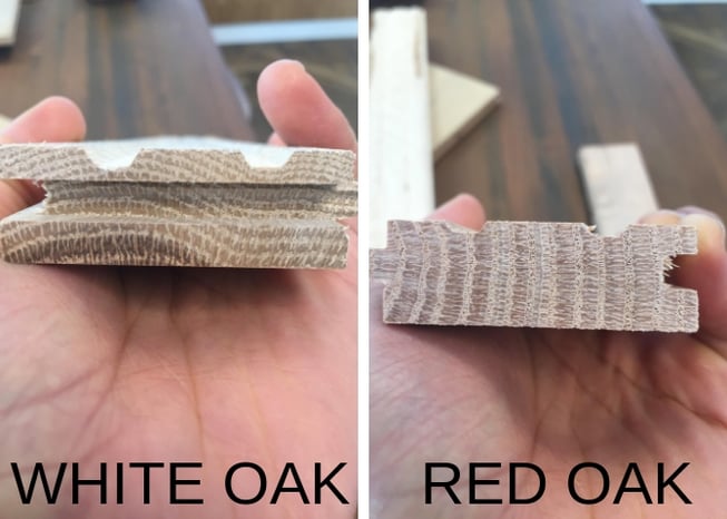 DIFFERENCE BETWEEN RED OAK AND WHITE OAK