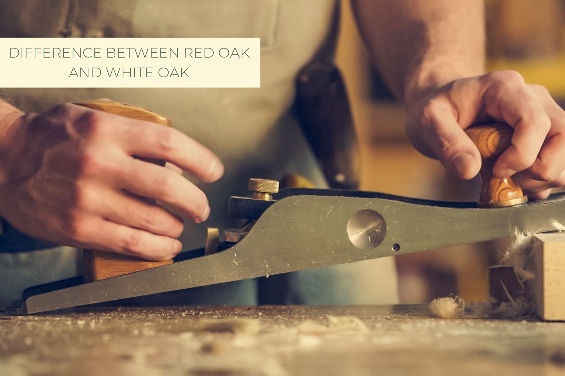Castle Bespoke_ Difference between red oak and white oak (1)